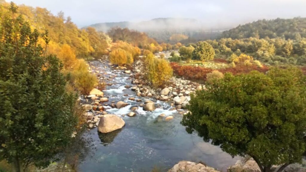 cita paisaje otoñal