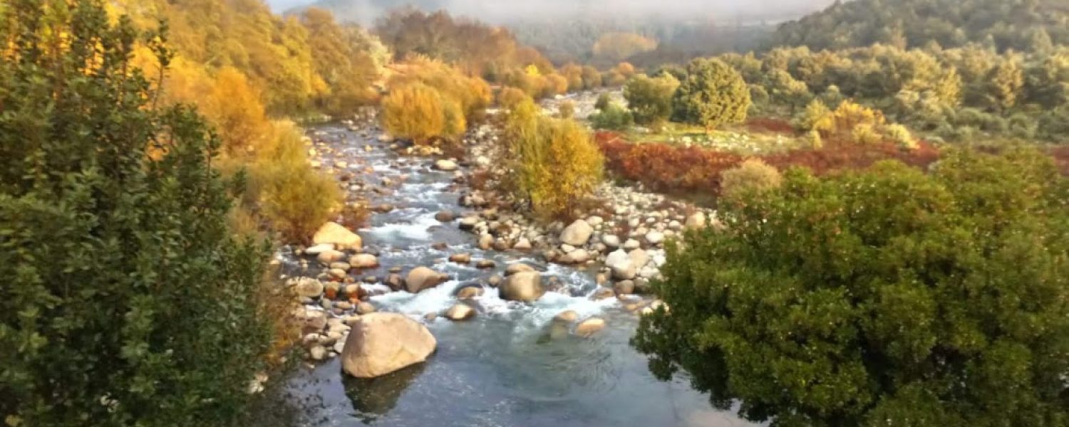 cita paisaje otoñal